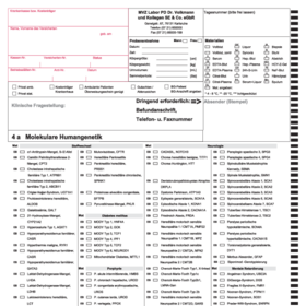 4a - Molekulare Humangenetik