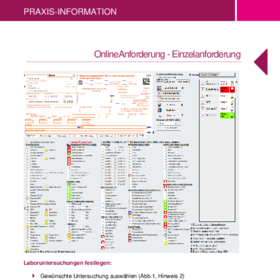 Online Einzelanforderung